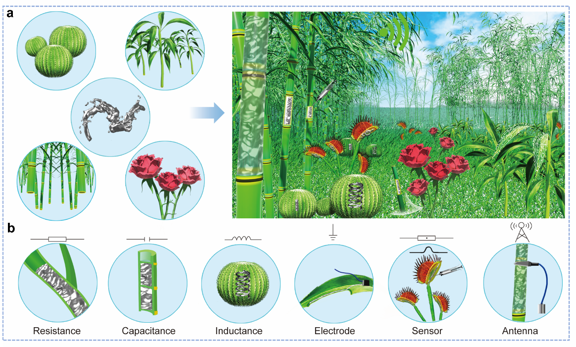 清華大學劉靜教授團隊《Mater. Today》：首次提出液態金屬植物注射電子學