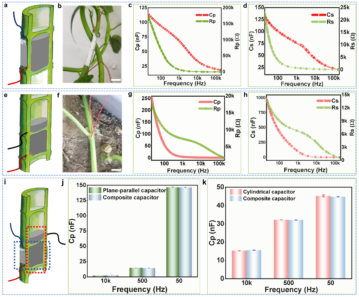 清華大學劉靜教授團隊《Mater. Today》：首次提出液態金屬植物注射電子學