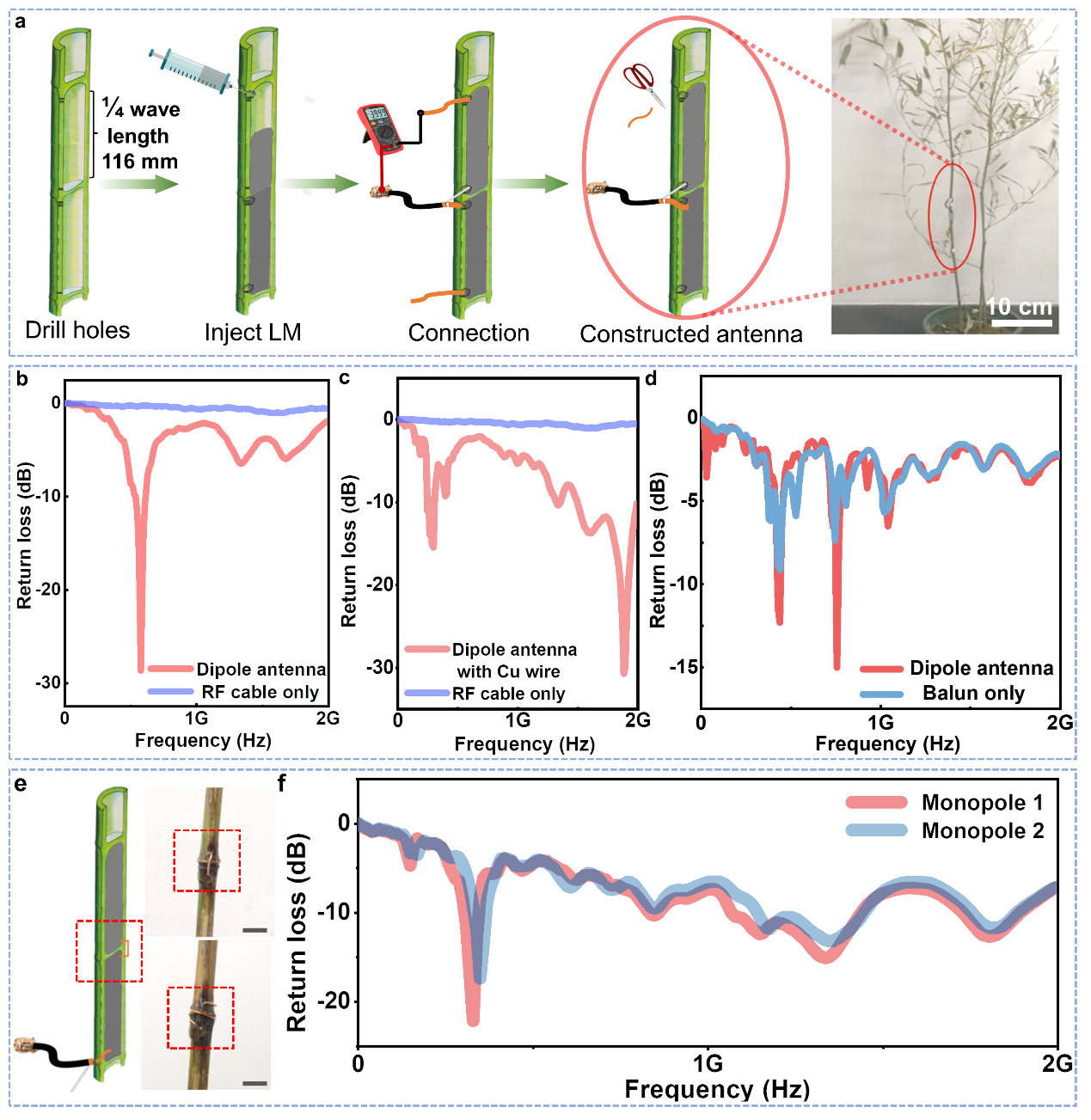 清華大學劉靜教授團隊《Mater. Today》：首次提出液態金屬植物注射電子學