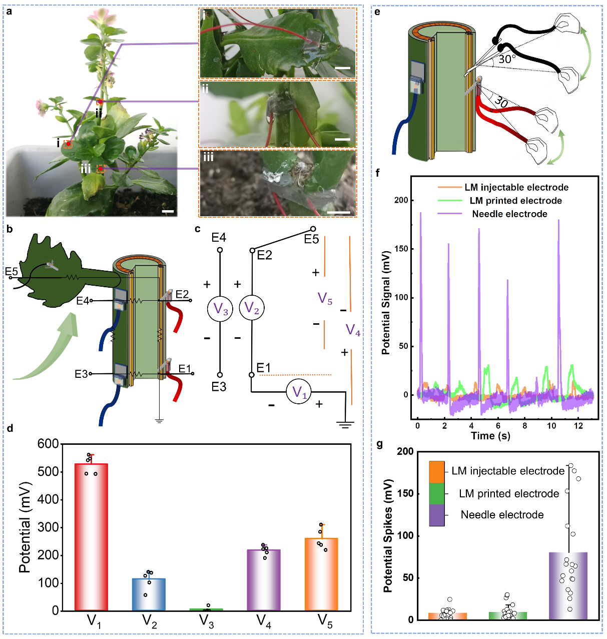 清華大學劉靜教授團隊《Mater. Today》：首次提出液態金屬植物注射電子學