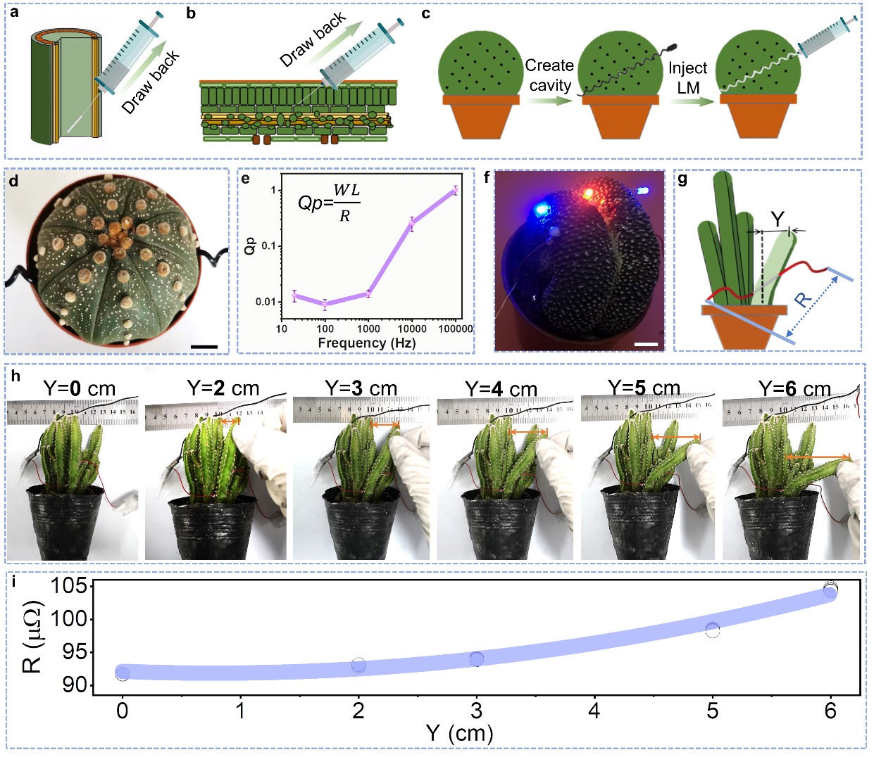 清華大學劉靜教授團隊《Mater. Today》：首次提出液態金屬植物注射電子學